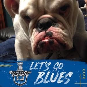 Meet your Posher, Ursula